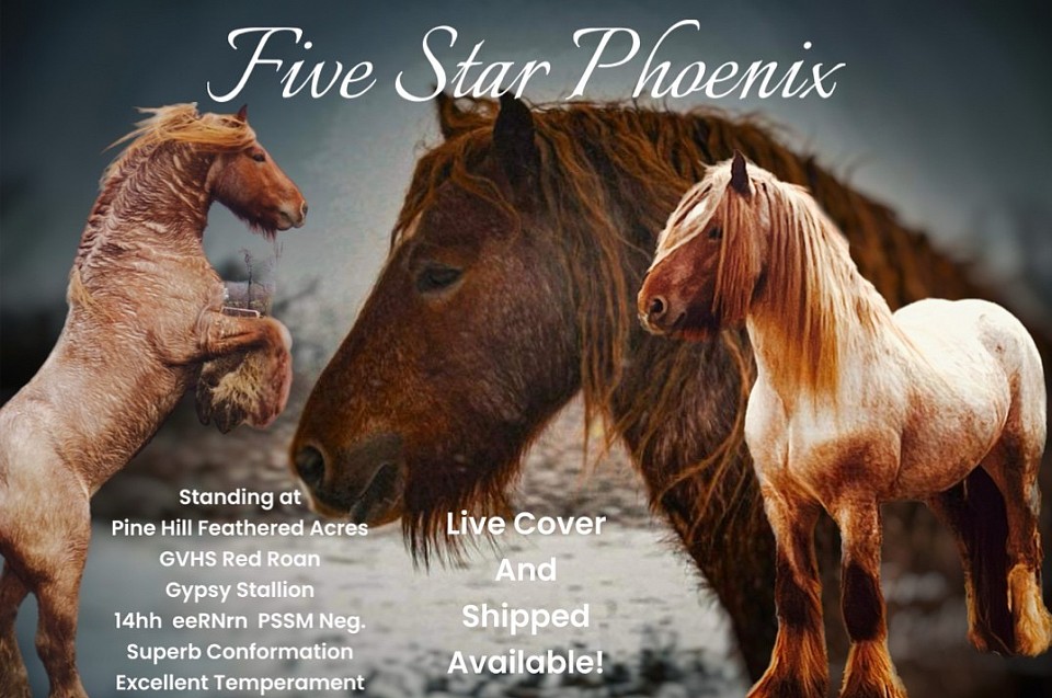 Phoenix